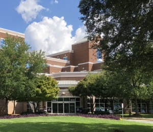 Matthews office