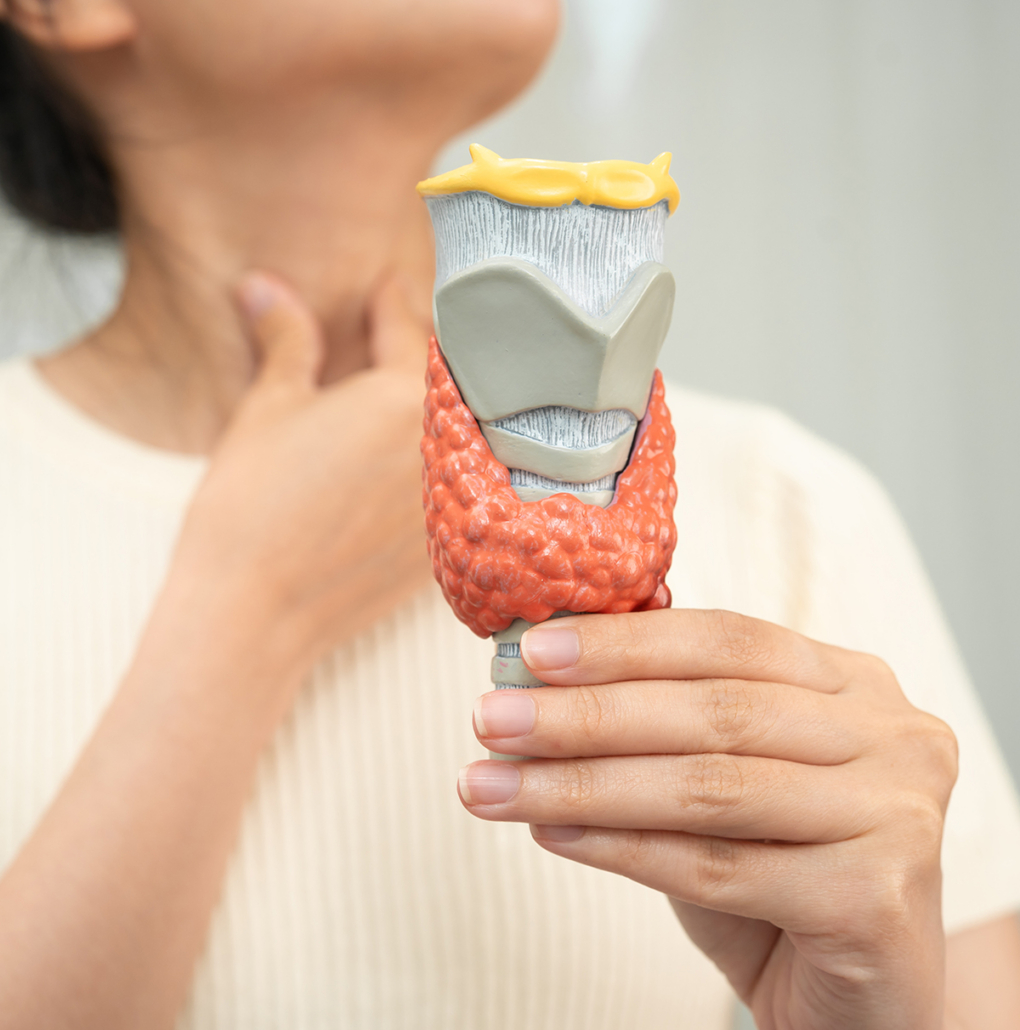 thyroid-throat